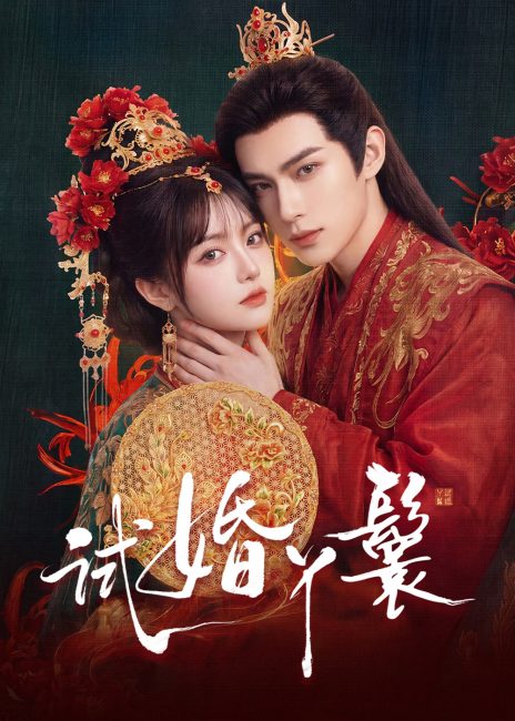مسلسل خادمة المحاكمة The Trial Handmaiden الحلقة 10 مترجمة